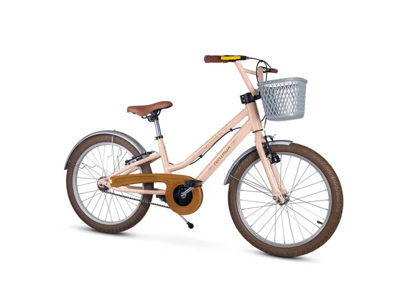 Bicicleta Nathor Aro 20 Antonella
